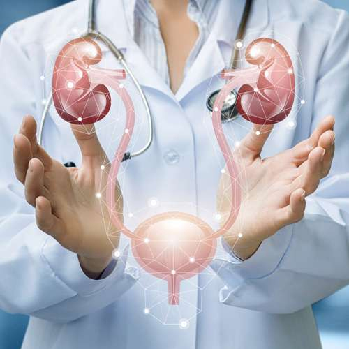 Department-of-Urology